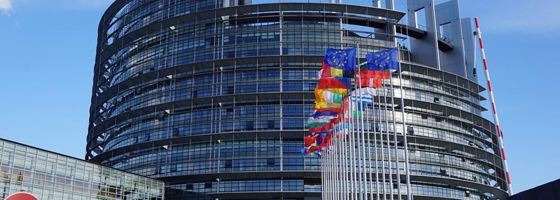 strasbourg law trip header slk fe